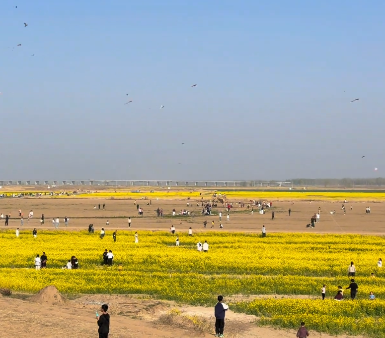 衡水市故城县：以文明底色绘就乡村振兴亮色