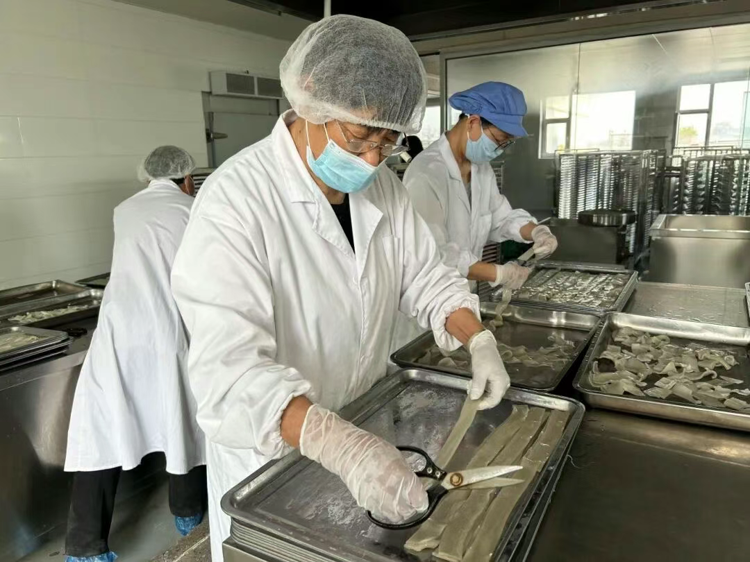 元氏：百年“九瓢”飘新香 非遗粉条焕生机