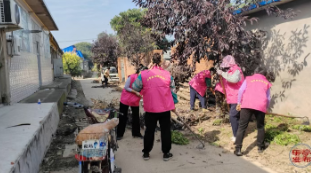 乐亭 “美丽庭院” 再掀热潮！巾帼力量助力农村人居环境焕新颜