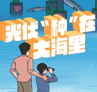 光伏“种”在大海里