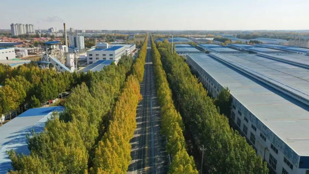 曲周“入冬三件套”，邀您共赴暖冬之约！