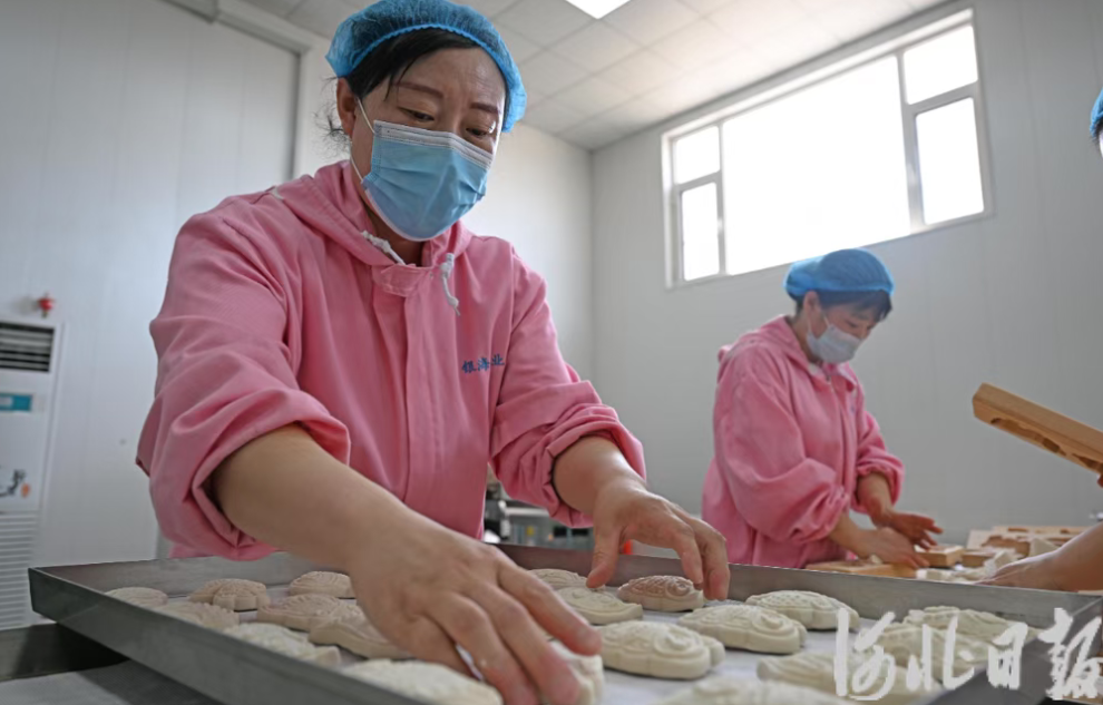 沧州盐碱地农特产品全链条产值达141亿元 