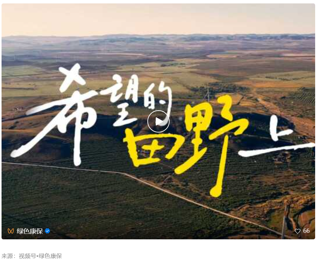 探班“康巴诺尔冰雪嘉年华、红火过大年”巡游群演。    